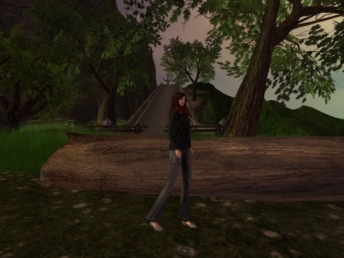 Web 58113d83b713f723e2000001