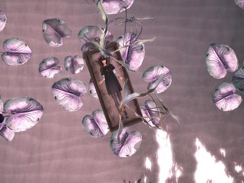 Web 58fcf582289dd278f0000001