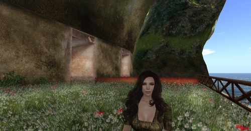 Web 554bccaa8da57227ba000001