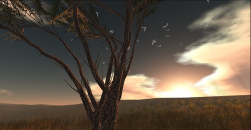 Web 58b43868b0154055e9000001