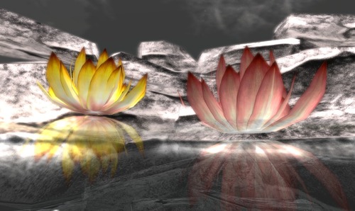 Web 58b45176b015407131000001