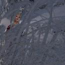 Thumb 5a280c3a289dd20a96000001