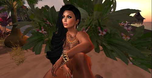 Web 5544128df8a1ec6ba1000001