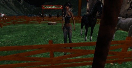 Web 550b8a83a73e2178a3000001