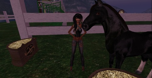 Web 550b93b7a73e2131a4000001