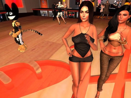 Web 5632d8398da572399a000001