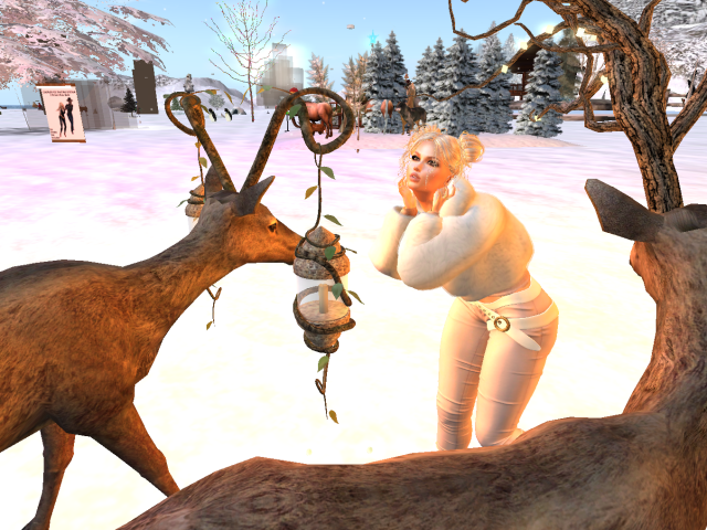 Original 619bf52b3509d73652ce5b1f