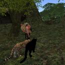 Thumb 5a47bd5373ed17546a000001