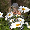 Thumb 5a6099c4d774f860b1000001