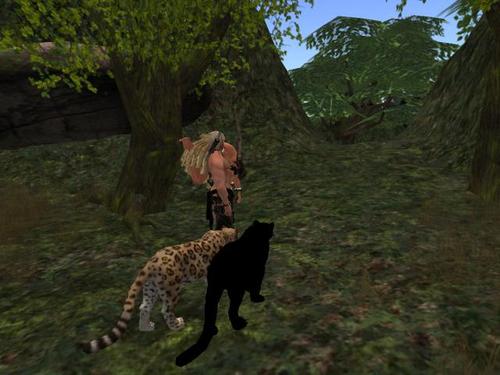 Web 5a47bd5373ed17546a000001