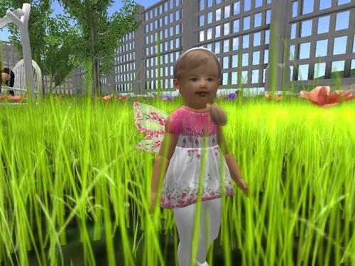 Web 5b82fb4ad774f8144b000001