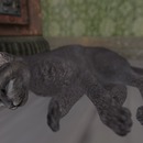 Thumb 55e0c626f8a1ec2c31000001