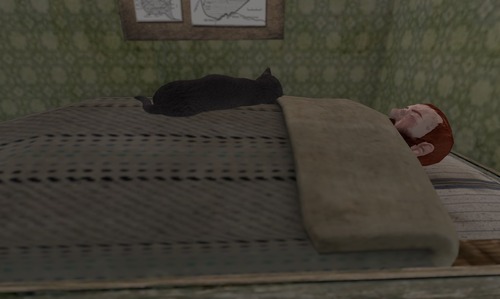 Web 55e15a698da5724dd7000001