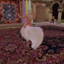 Thumb 5e662dd8d9859c17da591454