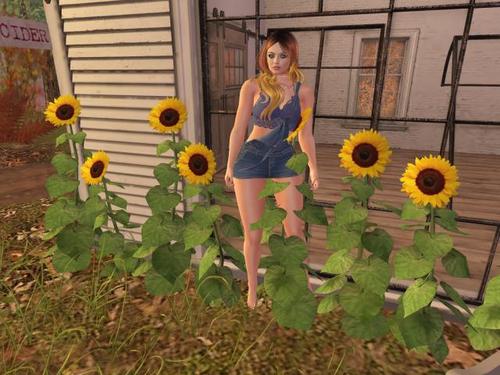 Web 5da80707d774f8066d000001