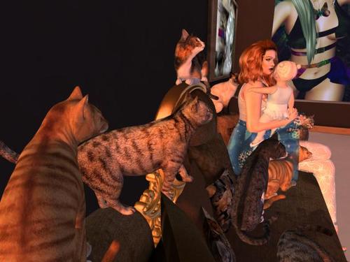 Web 5db6f377289dd22b4b000001