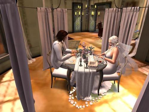 Web 5e5e691dd774f81205708056