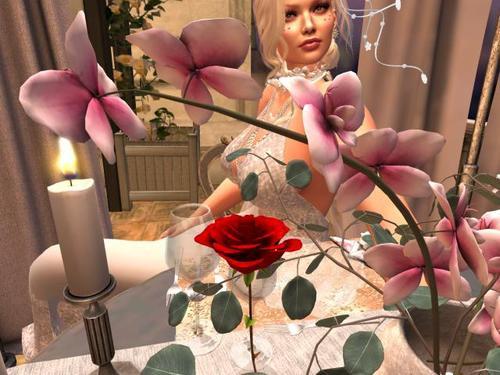 Web 5e5f460fd774f82bf35aab98