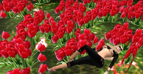 Web 55d48ee2128cc97131000001