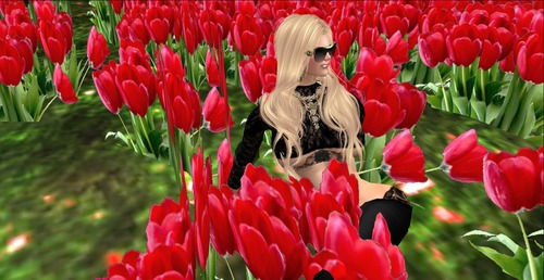 Web 55d49105a73e211d8c000001