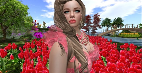 Web 55e2c2838da57206df000001