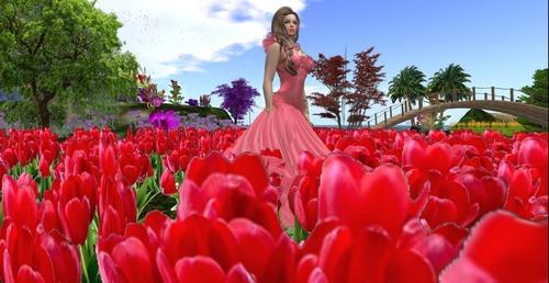 Web 55e2c2eda73e216bee000001