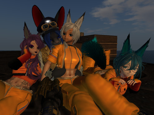 Web 672db53e67199b25629026f0