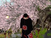 Small 608ddacacc92a6796955c812