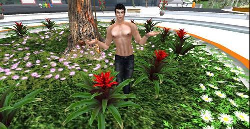 Web 5f43caa573ed171278500937