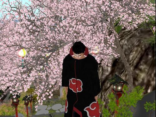 Web 608ddacacc92a6796955c812