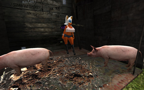 Web 666a56bc82b5514df56fd4c0