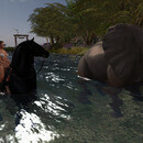 Thumb 64dde4eb68ef9830d47e79ee