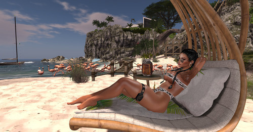 Web 6454bb9e7ae76d4cf118c21b