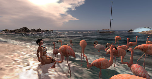 Web 6454c01e7f64dd0801ff9f6e