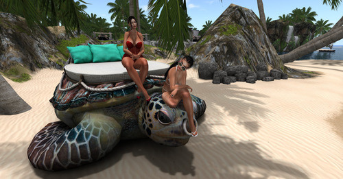 Web 64df4578dfb8e44a7aa84292