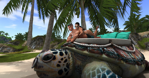 Web 64df4658cb93836e9475985b