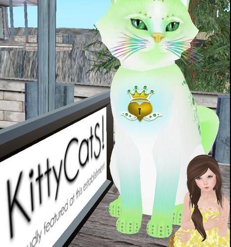 Web 608bf4936d7ff73437c6a43c