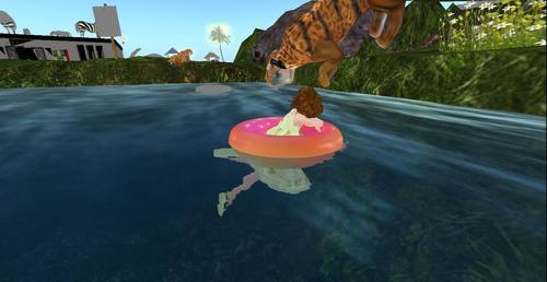 Web 60d653fc6213e53919a7d512