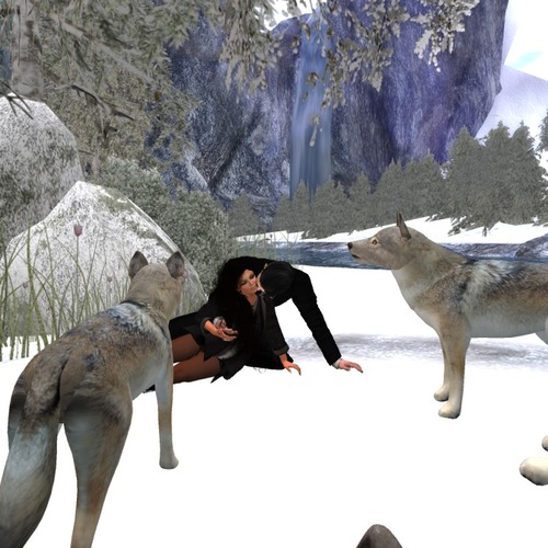 Web 553529d68da5726c01000001