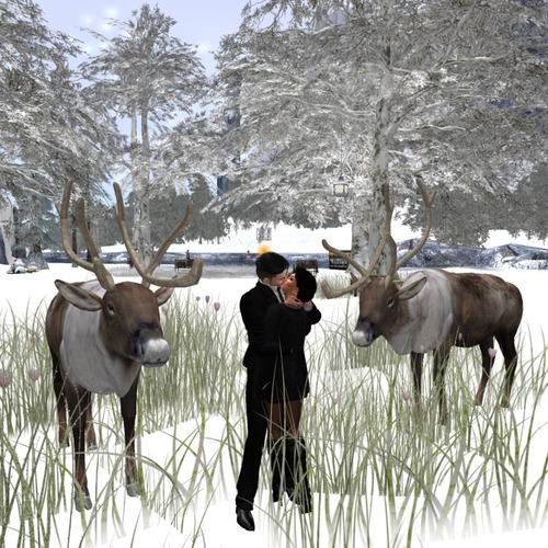 Web 55352bb7f8a1ec69e4000001