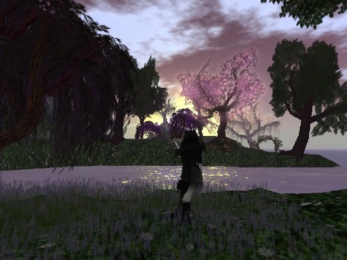 Web 54e07451a73e216e81000001