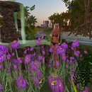 Thumb 560084708da5727e6e000001