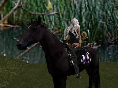 Web 56a13c9a9934e0317a000001