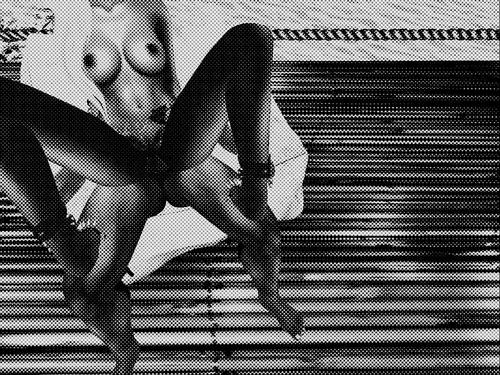 Web 5a820d20289dd2217e000001