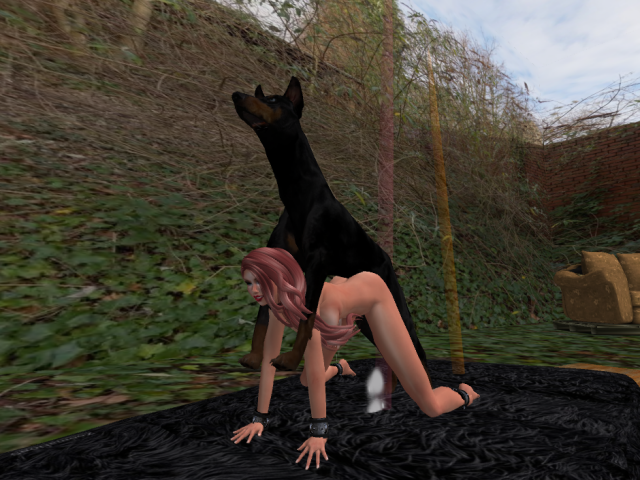 Original 58579a81f8a1ec72df000001