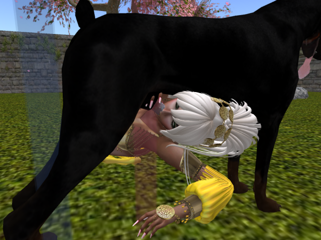 Original 58795a77b015401292000001