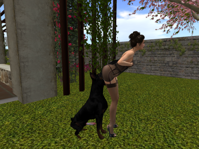 Original 587a4457f8a1ec3693000001