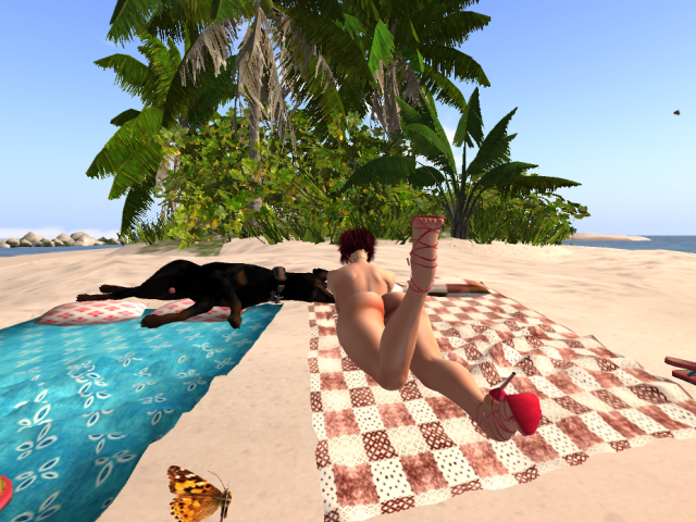 Original 5a1c5285289dd2369a000001