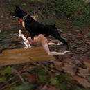 Thumb 59517c30d9859c794a000001