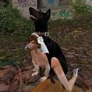 Thumb 59517d80d9859c0700000001